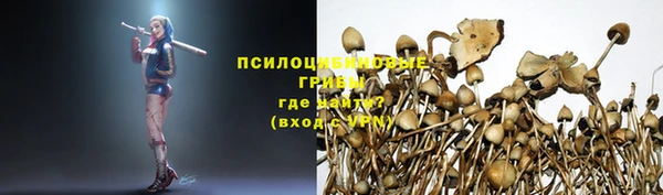 сатива Алексеевка
