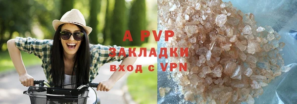 амф Алексин