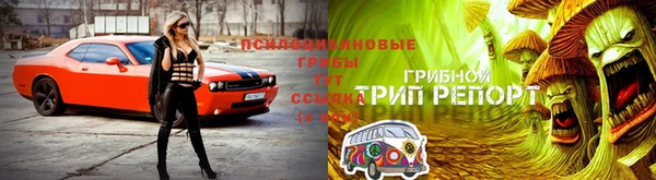 сатива Алексеевка
