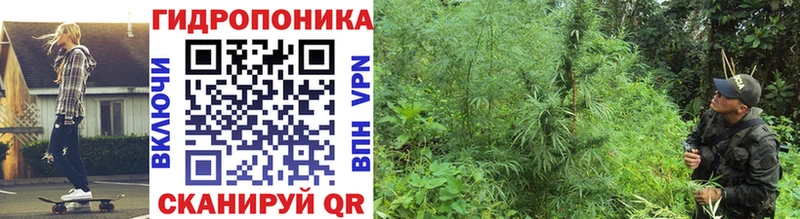 Канабис семена  дарнет шоп  Джанкой 